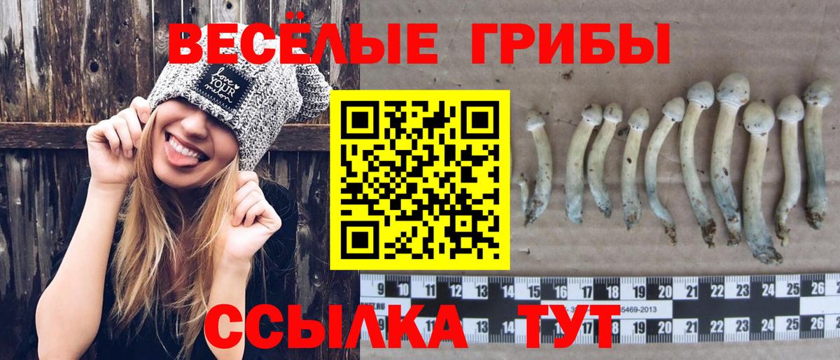 Галлюциногенные грибы прущие грибы  Вход с VPN  Новороссийск 