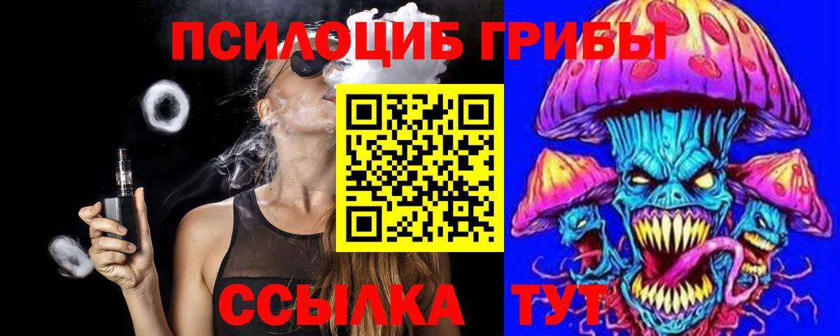 Псилоцибиновые грибы Psilocybine cubensis Новороссийск